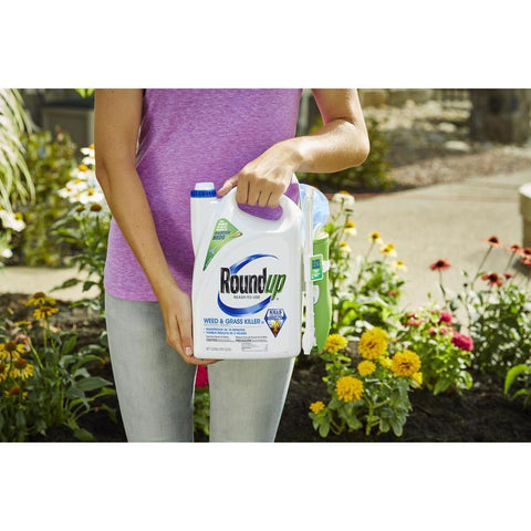 Roundup 5200510 Weed and Grass Killer, Liquid, Spray Application, 1.33 gal Bottle