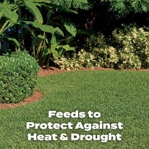 Scotts Turf Builder All-Purpose Lawn Fertilizer For All Grasses 10000 sq ft
