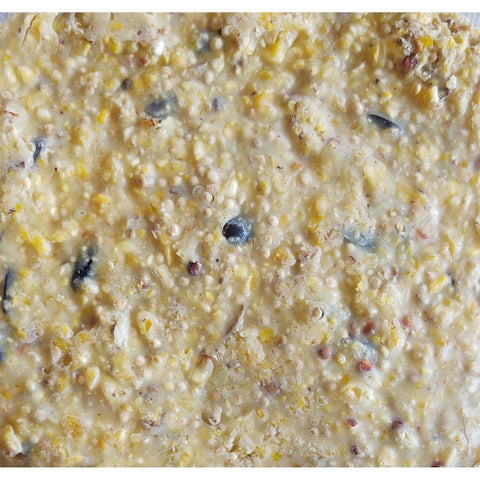Heath DDC7-12 Cracked Corn Crafted Suet Cake, 11.75 oz, Pumpkin