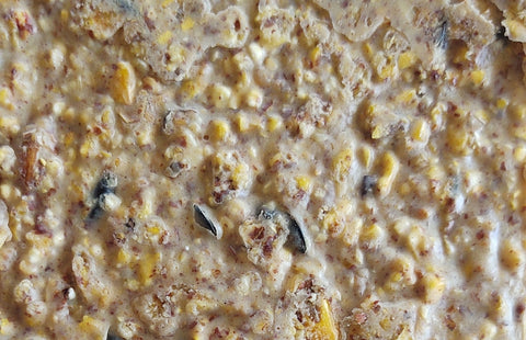 Heath DDC1-12 Sunflower Seed Wild Bird Seed, 11.75 oz, Crafted Suet, Cake, Pack