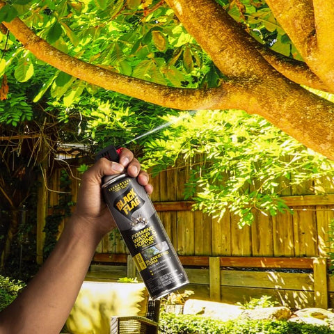 Black Flag Wasp and Hornet Killer Foam 14 oz