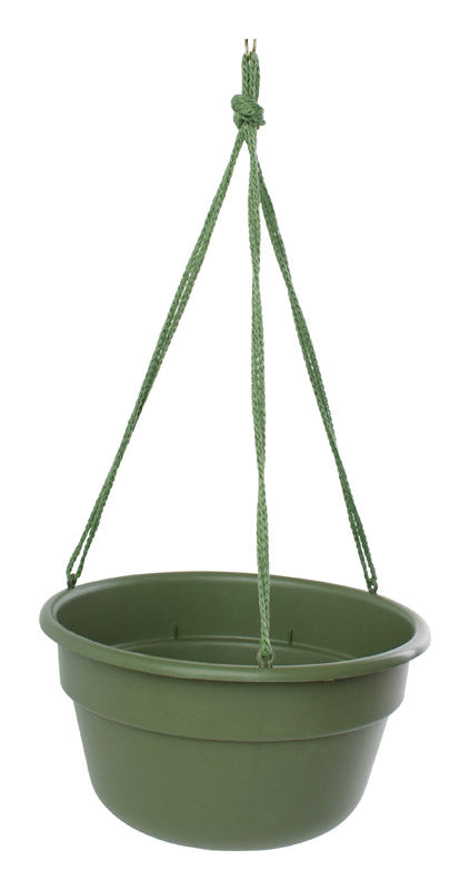 Bloem Living Green Resin Dura Cotta Hanging Basket 12 in. W
