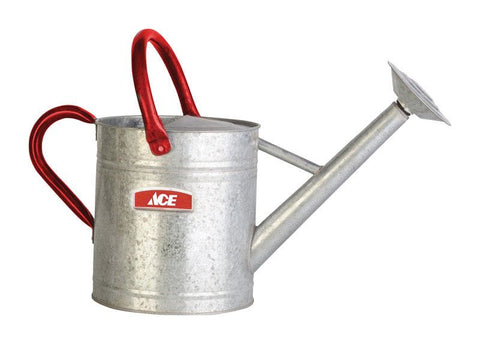 Ace Gray 2 gal. Steel Watering Can