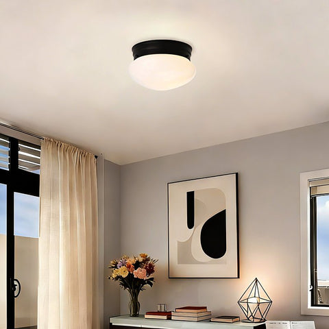 Boston Harbor OG24007 Ceiling Light, 120 V, 1-Lamp, Black Fixture, Matte Black Fixture