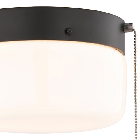 Boston Harbor OG24015 Ceiling Light, 120 V, 2-Lamp, CFL, Incandescent, LED Lamp, Metal Fixture, Matte Black Fixture