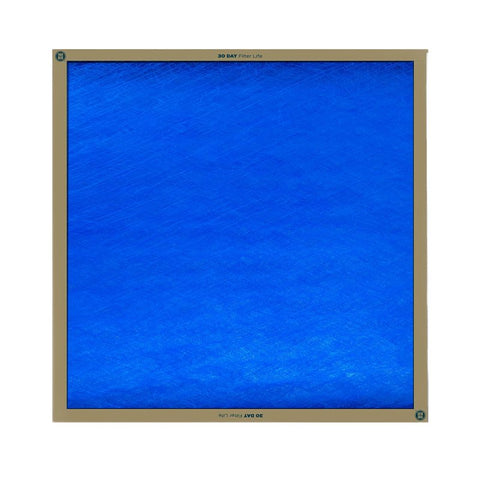 True Blue 120201 Air Filter, 20 in L, 20 in W, 2 MERV, Cardboard Frame, Pack of 12