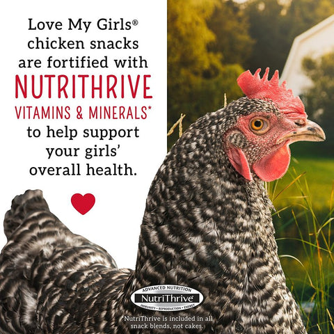 Love My Girls 15195 Flax and Worms Snack, 5 lb