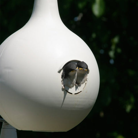 Heath 30008/30008R Bird House, 17-1/4 in W, 14-1/4 in D, 9-1/2 in H, Gourd, Plastic, Almond