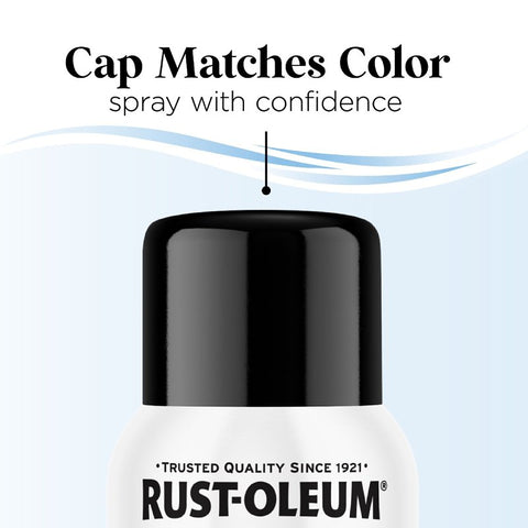 Rust-Oleum 388245 Premium Paint, Gloss, Black Out, 11 oz Aerosol Can