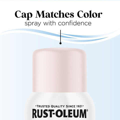 SPRY PAINT MAT DUSTY ROSE 11OZ