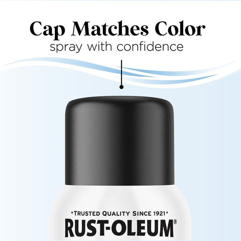 SPRAY PAINT MAT BLACKOUT 11OZ