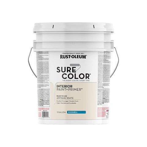 PAINT&PRIMER EGSHL ANT WHT 5GA