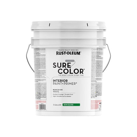 PAINT&PRIMER SEMI GLOSS WHT 5G