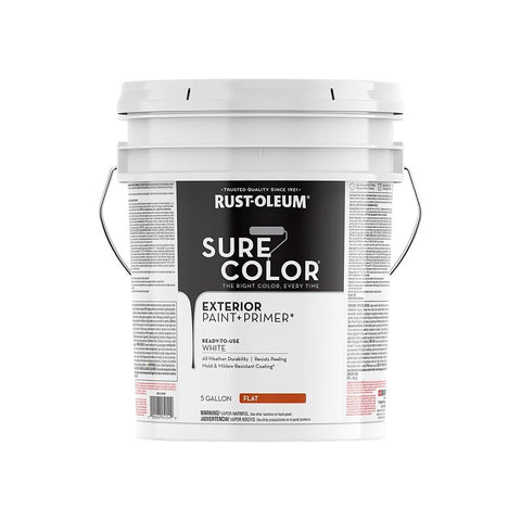 PAINT & PRIMER EXT FLAT WHT 5G