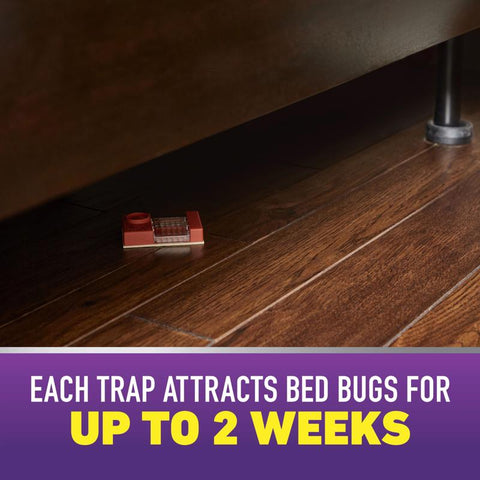 Ortho Home Defense Bed Bug Detector 2 pk