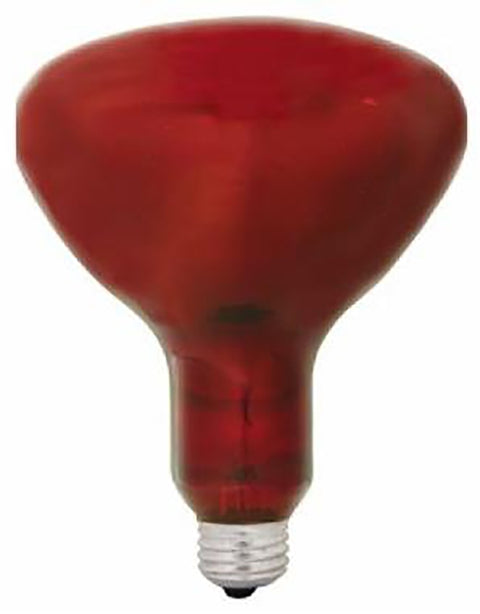 GE 37771 Heat Bulb, 250 W, R40 Lamp, E26 Medium Lamp Base, Red Light, 5000 hr Average Life, Pack of 6
