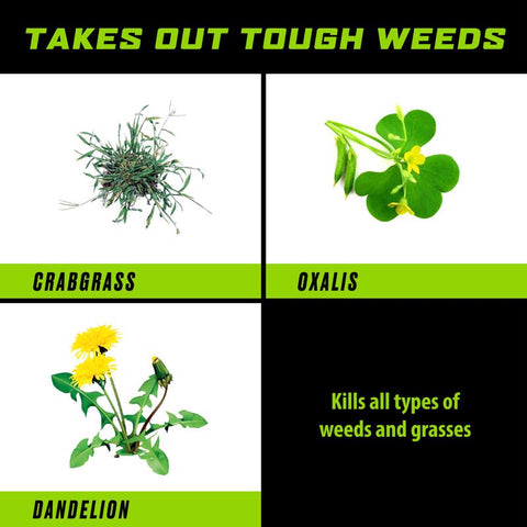 Ortho GroundClear Weed and Grass Killer RTU Liquid 1 gal, Pack of 4