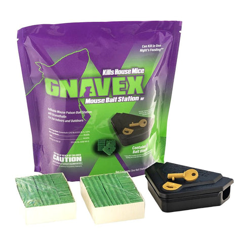 Gnavex 112881 Mouse Bait Station, Green