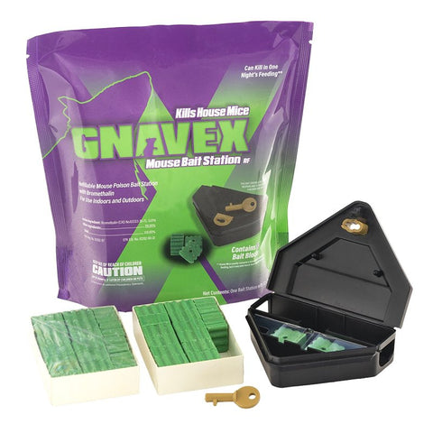 Gnavex 112881 Mouse Bait Station, Green
