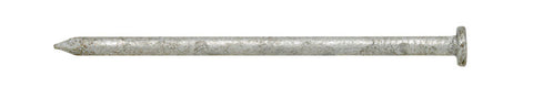 Ace 20D 4 in. Common Hot-Dipped Galvanized Steel Nail Flat Head 5 lb