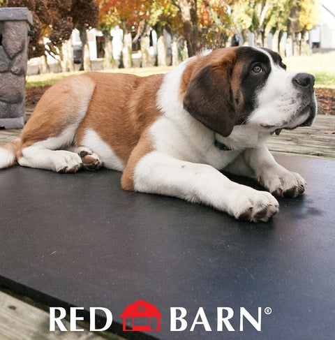 Red Barn 1202220 Stall Mat, Rubber, Pack of 25