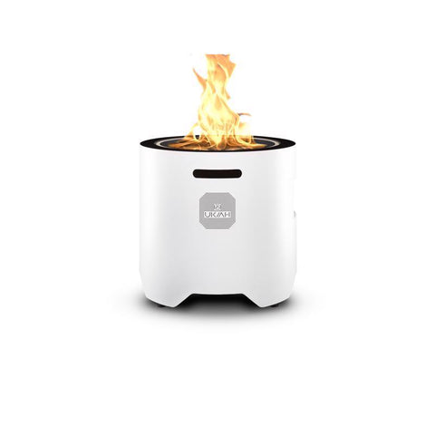 Ukiah Voyager 20 in. W Stainless Steel Round Propane Fire Pit with Sound System