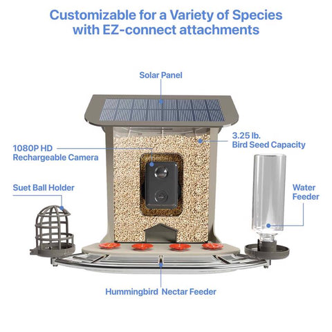 Feit Bird Genius Smart Feeder Wild Bird 2.5 L Plastic Bird Feeder 1 ports