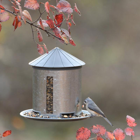 More Birds 7 lb. capacity Metal Bird Feeder