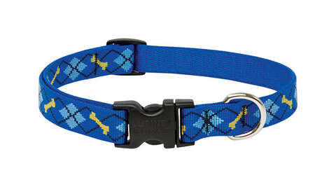 LupinePet Original Designs Multicolor Dapper Dog Nylon Dog Adjustable Collar