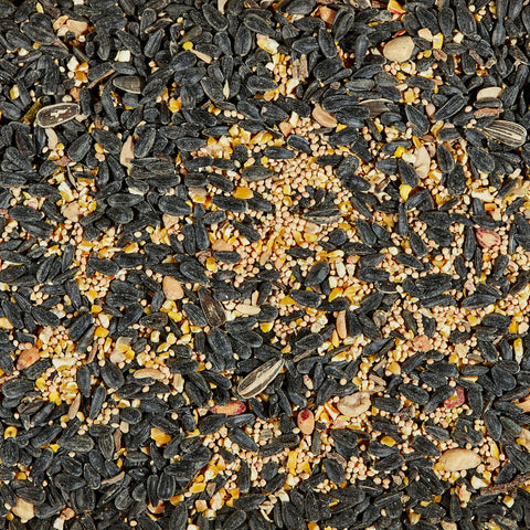 Kaytee Songbird Blend Songbird Black Oil Sunflower Seed Wild Bird Food 7 lb, Pack of 6
