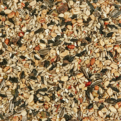 Kaytee Nut & Fruit Blend Songbird Nut & Fruit Wild Bird Food 5 lb, Pack of 6