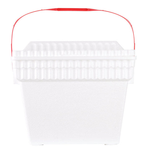 Lifoam Styrofoam Cooler 30 qt. White