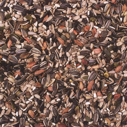 Wild Delight Nut N Berry Assorted Species Sunflower Kernels Wild Bird Food 5 lb, Pack of 6