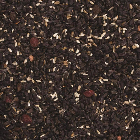 Wild Delight Songbird Sunflower Seeds Wild Bird Food 8 lb