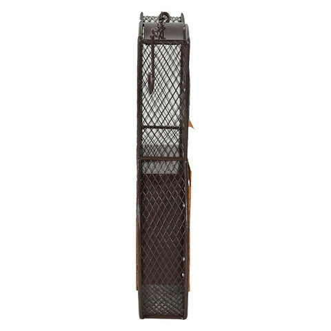 Heath 21703 Suet and Seed Bird Feeder, Whimsical Owl, 24 oz, 2-Port/Perch, Mesh, Brown/Orange, 12 in H