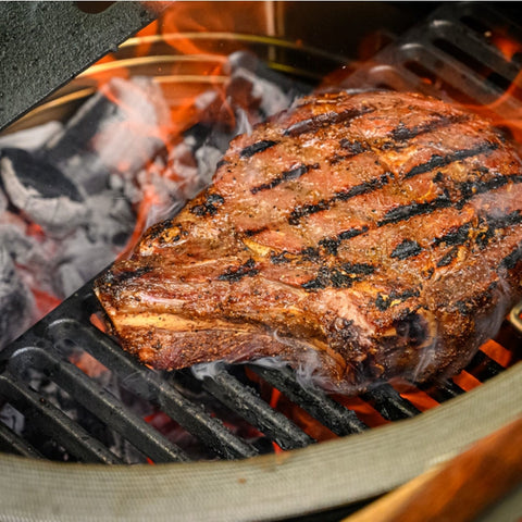 Kamado Joe Grill Grate 18 in. L X 9 in. W