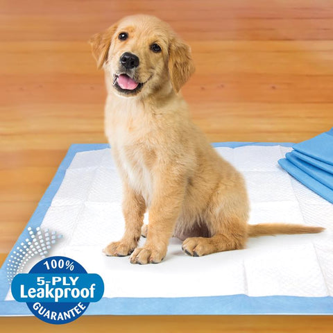 Four Paws Pee-Pee Polymer Training Pads 30 pk