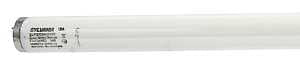 BULB LT FLUOR 40W DAYLT MED