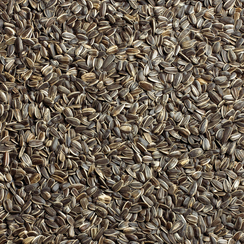 Ace Songbird Striped Sunflower Seed Wild Bird Food 5 lb, Pack of 4