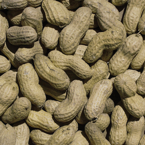 Ace Wild Bird In-Shell Peanuts 5 lb