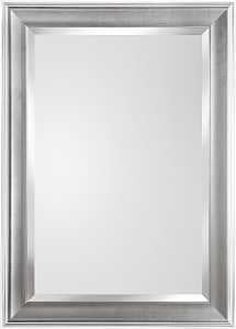 Renin 200267 Epping Framed Mirror, 25 in W, 35 in H, Rectangular, Pack of 4