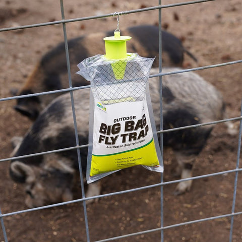 Rescue Big Bag BFTD-DB12-C Fly Trap, Granular, Musty, Bag, Pack of 12