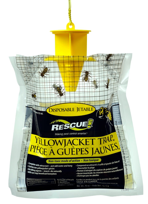 TRAP YJ DISPOSABLE WEST CA DSP, Pack of 48