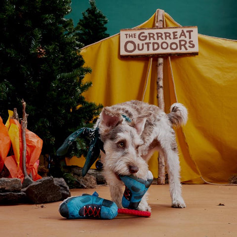 Bark Multicolored Plush Appalachian Tail Boots Dog Toy 1 pk, Pack of 3