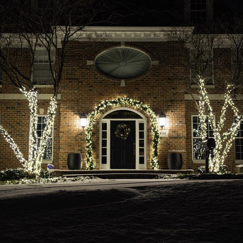 Celebrations Platinum LED C6 Warm White 50 ct String Christmas Lights 25 ft., Pack of 12