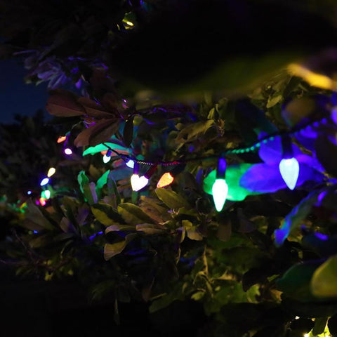 Celebrations Platinum LED C6 Multicolored 50 ct String Christmas Lights 25 ft., Pack of 12