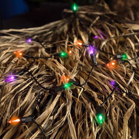 Celebrations Multicolored 100 ct LED Mini Halloween String Lights