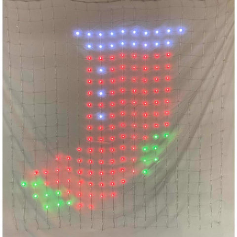 Celebrations LED RGB 576 ct Novelty Christmas Lights 4 ft.