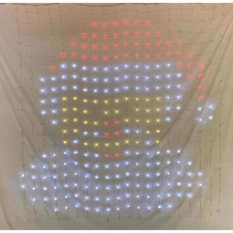 Celebrations LED RGB 576 ct Novelty Christmas Lights 4 ft.