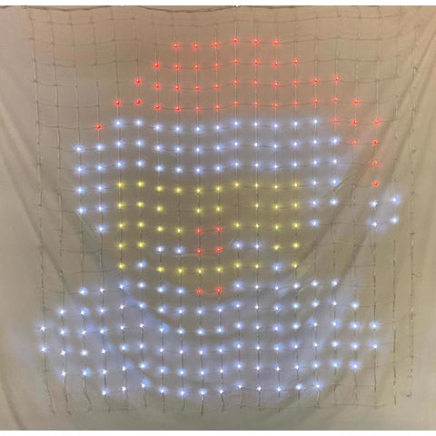 Celebrations LED RGB 720 ct Novelty Christmas Lights 5 ft.